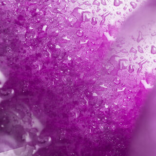 VEEV NOW Grape