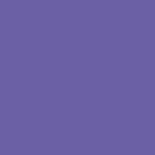 VEEV NOW Blueberry