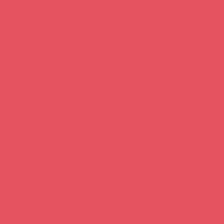 VEEV NOW Watermelon
